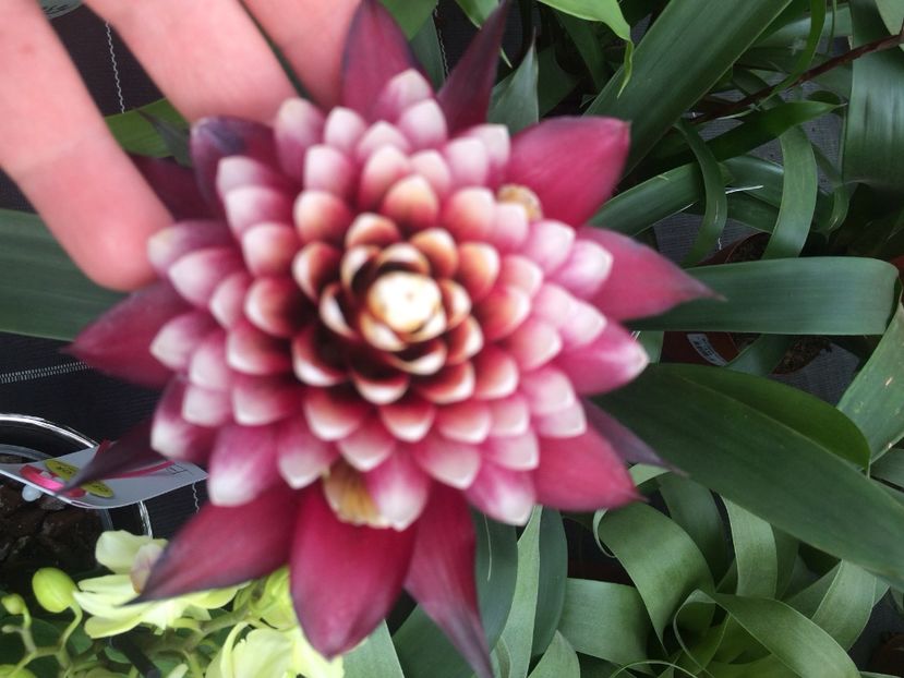 29.05.2019 - A -Magazin