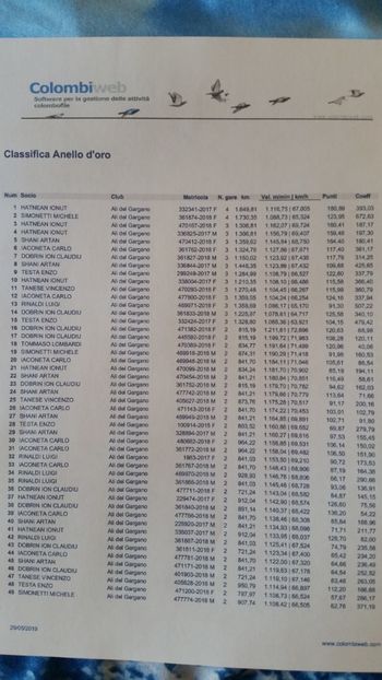 AS pigeon DEMI-FOND locul 1AS , locul 3AS , locul 4AS , locul 10AS - A3 REZULTATE zburători 2019