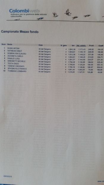 Campionatul DEMI-FOND locul 2  - A3 REZULTATE zburători 2019