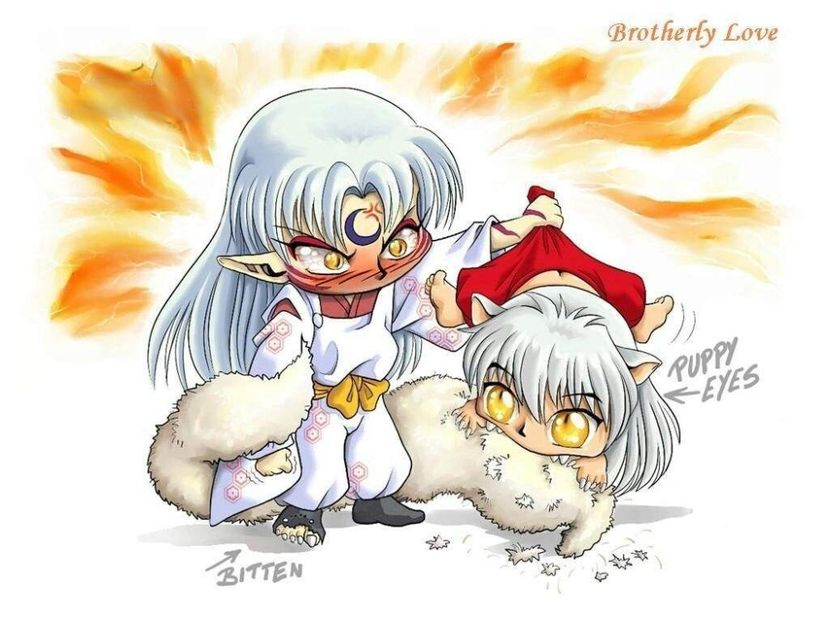 3aa8f5636f6caaf9064f7557326897474f0d8f43_hq - Sesshomaru And Inuyasha