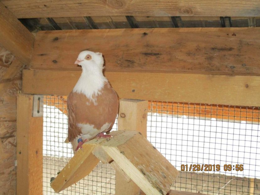 received_769642100079008 - Contact