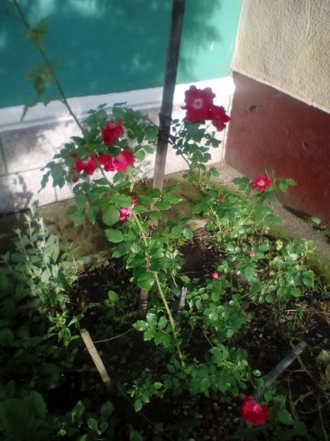 29 05 2019 - Dortmund