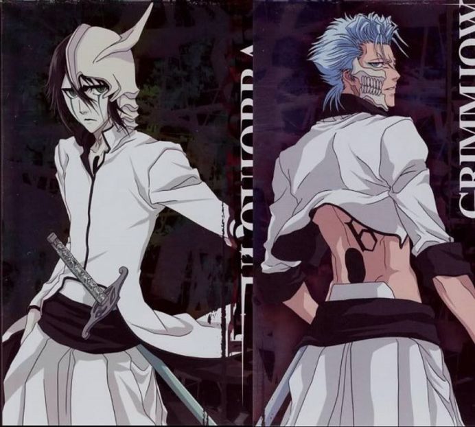 BLEACH.600.488723 - Grimmajow And Ulquiorra