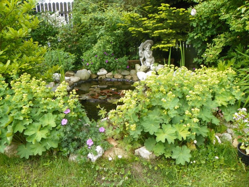 29 mai (41) - Gradina 2019