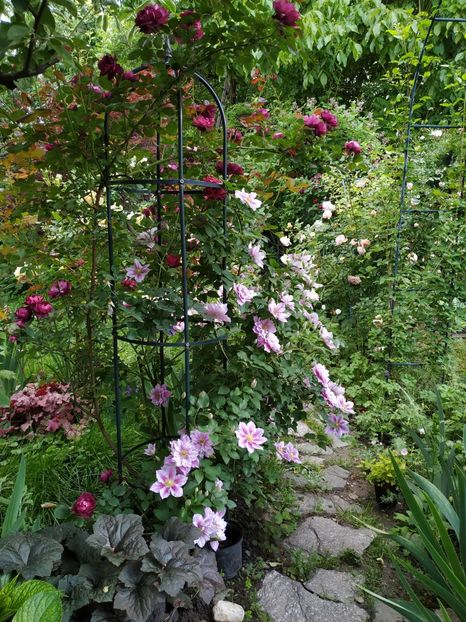  - MAI 2019- MAI 2020