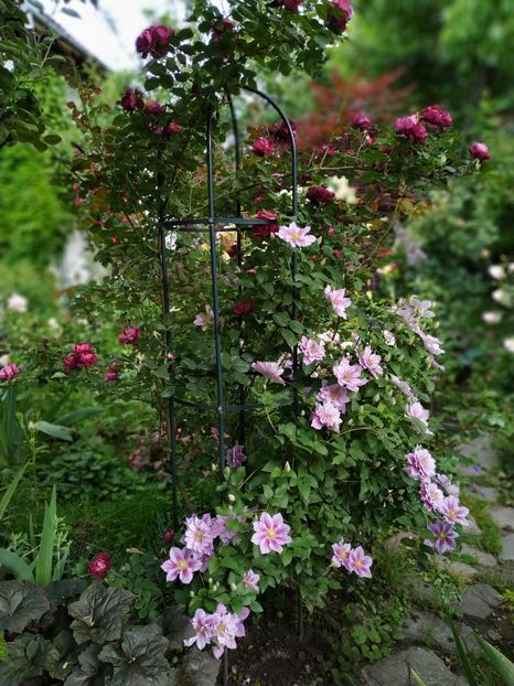  - MAI 2019- MAI 2020