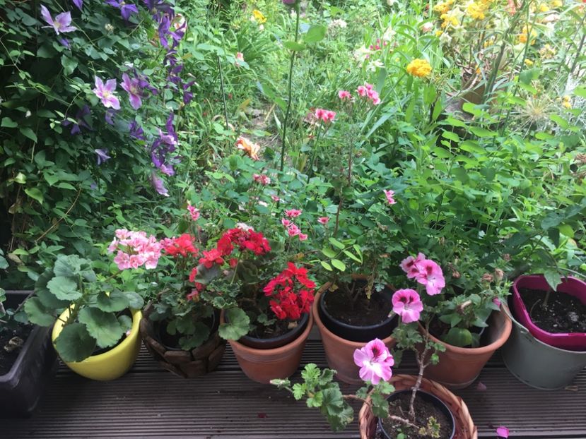 7A4FF080-E8B4-4B56-B0BF-D34D4F3BDE9F - 2019