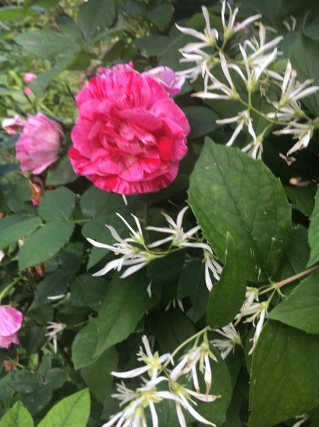 AE5D2982-EB93-4083-A95F-6C47880FC848 - Mai 2019