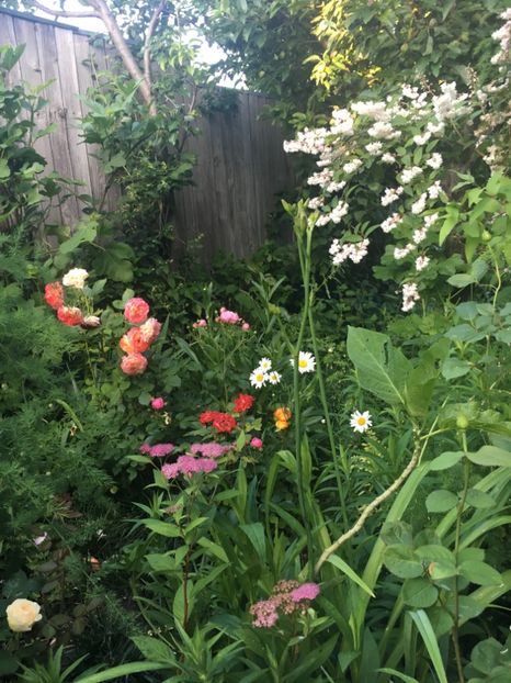 1E4CBD26-CACB-436B-BCA1-BF2E40C66641 - Mai 2019