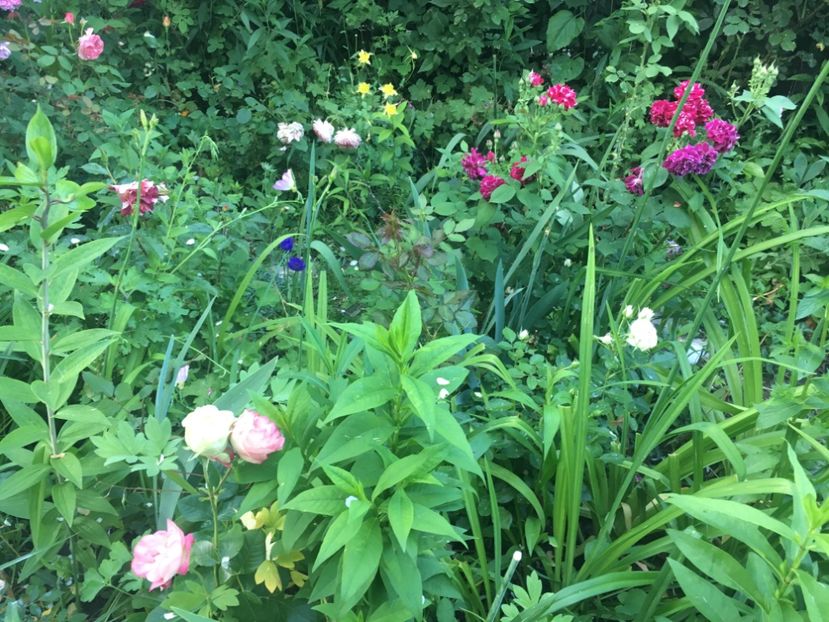 F8E9D361-2FE0-4B2A-8410-7DFDD575A77C - Mai 2019