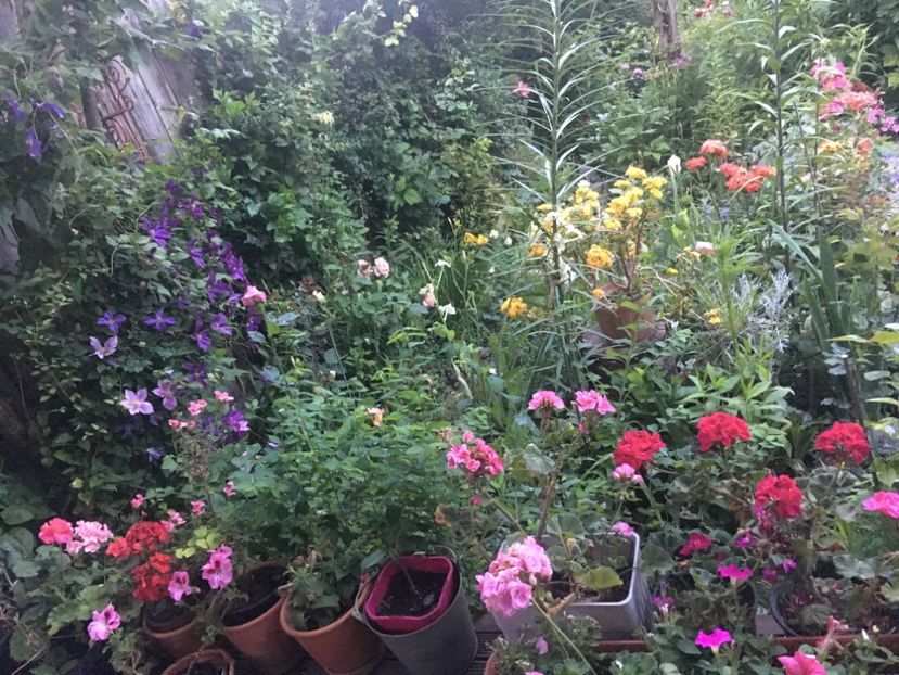 FFF754A1-F4D7-4538-8B79-926DBA13D684 - Mai 2019