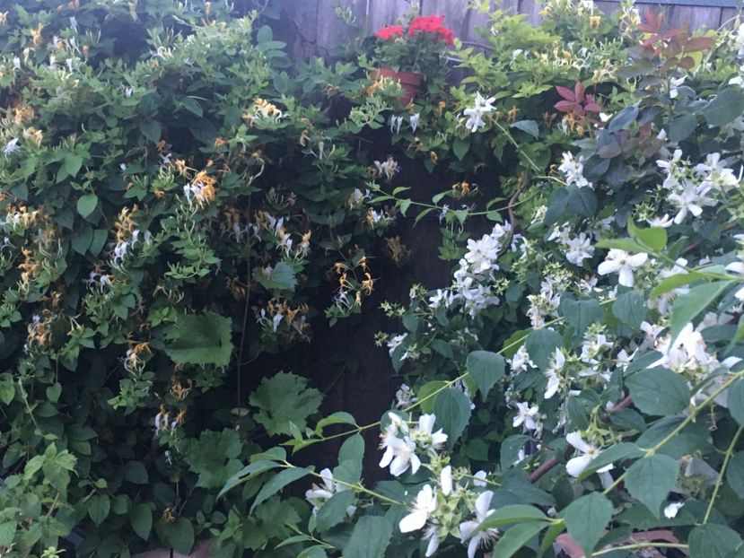 440D922B-4E6C-4293-A3CA-0D3A6F53EE64 - Mai 2019