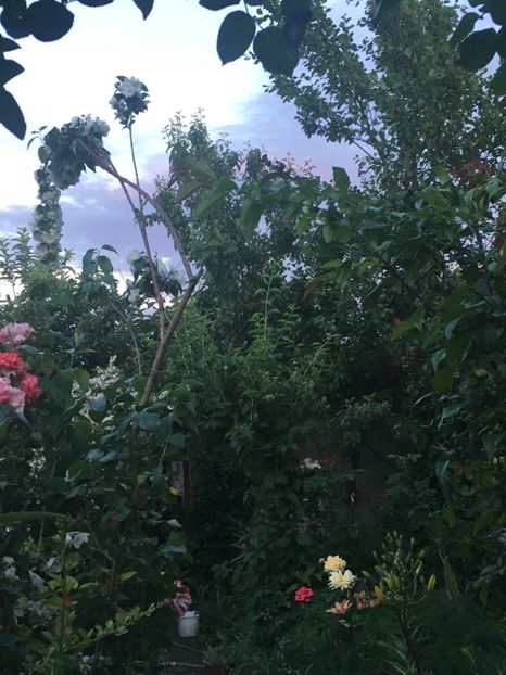 CE740E95-0053-474E-860A-67065D7C5B09 - Mai 2019