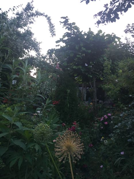 580ED99C-3CA0-44CE-87B4-97B32937F781 - Mai 2019