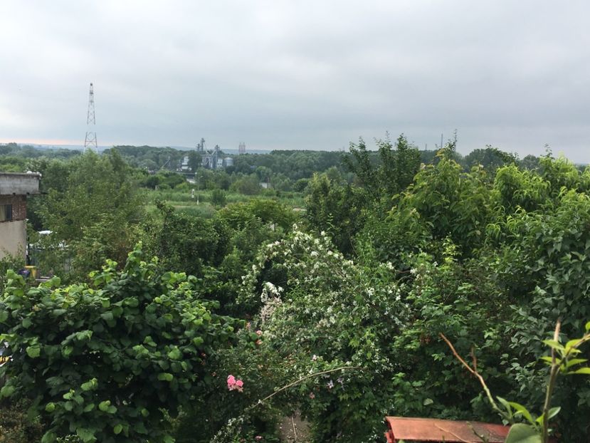 D614FA22-5280-4065-9CB6-31FE464A4FC9 - Mai 2019