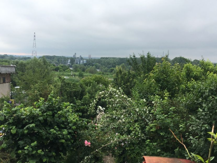 19911F05-18E2-4F22-B68E-1BE2F96F1F95 - Mai 2019