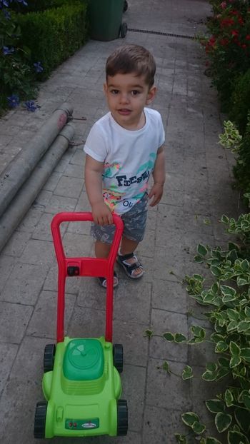  - Flori si trandafiri 2019 -1