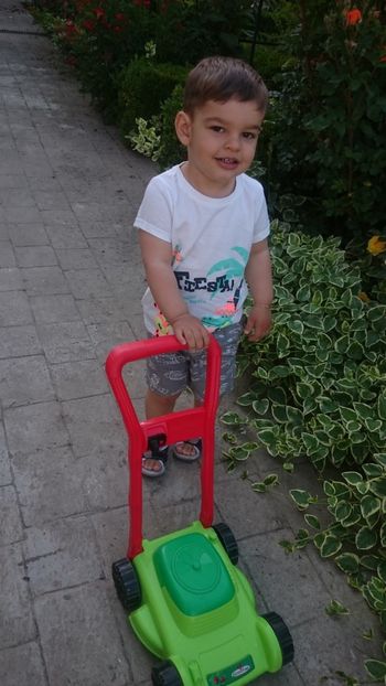  - Flori si trandafiri 2019 -1