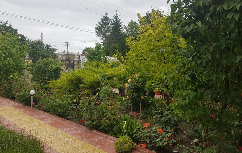  - U-GRADINA MEA