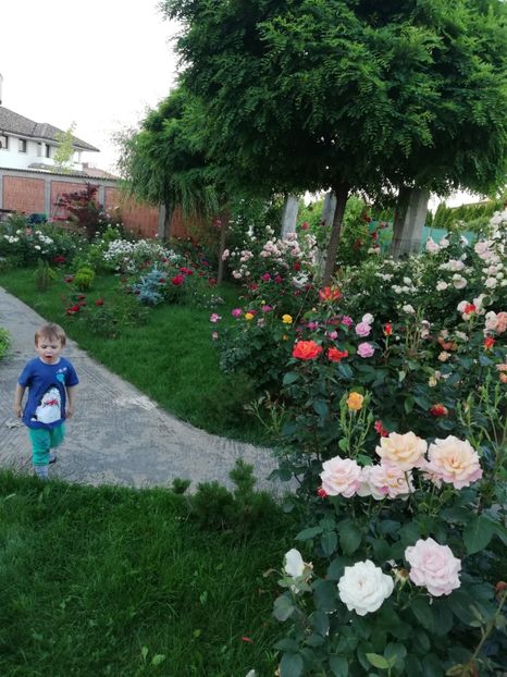  - AA - In  gradina mea