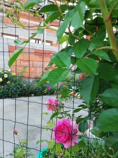  - Princess Alexandra of Kent