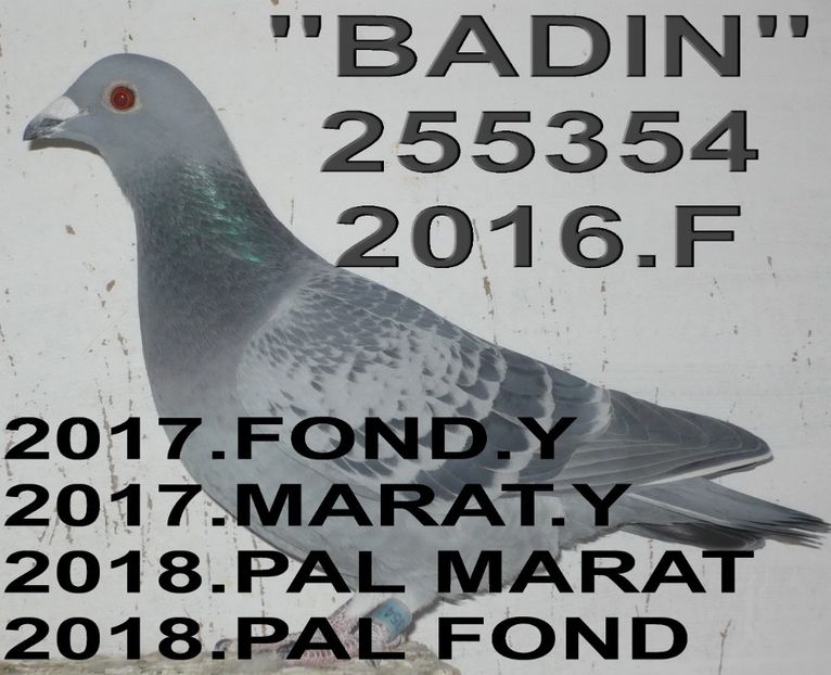 2016.255354 (3)+ - 2 MATCA 2019