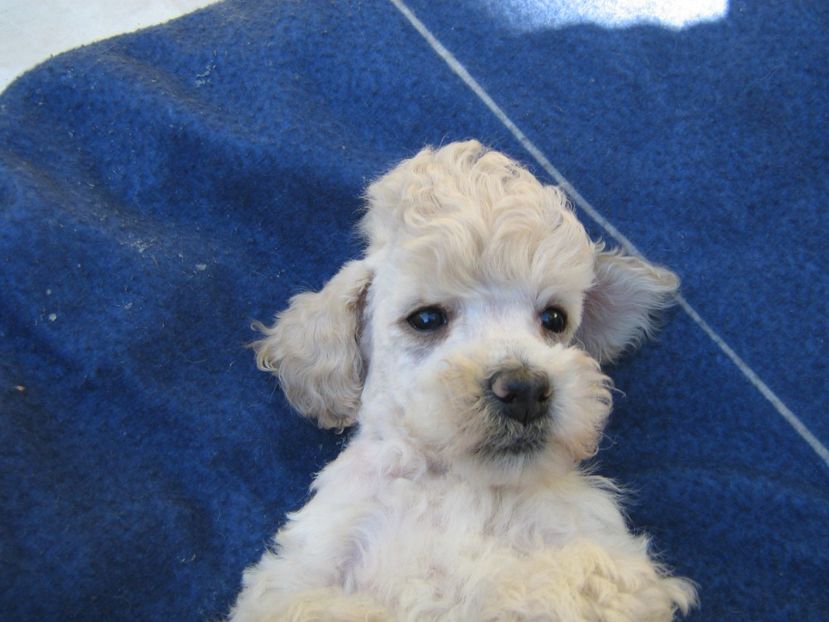  - MUKY_ ceva special