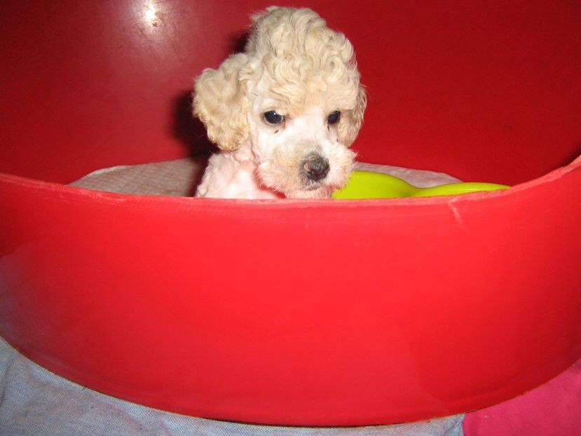  - MUKY_ ceva special