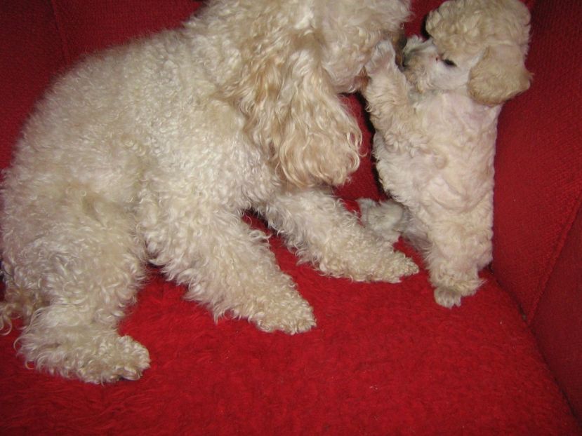  - MUKY_ ceva special