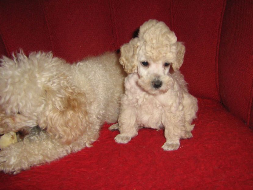  - MUKY_ ceva special