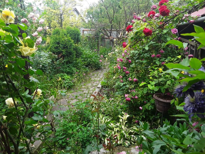  - Madam Isaac de Pereire