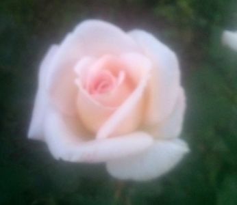 112315588_UQQOLOU3 (1) - T R A N D A F I R I