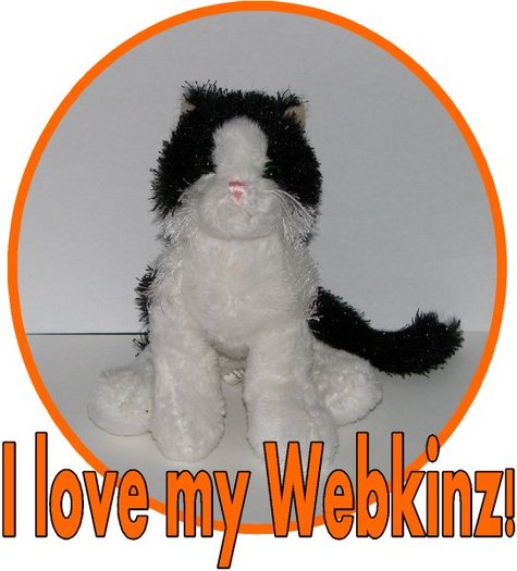 a_black_and_white_cat_Webkinz_webkins_circle_design_tshirt_for_kids - Webkinz