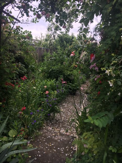 C3A1447A-56CC-4D28-8219-E4D8177E4CAC - Iunie