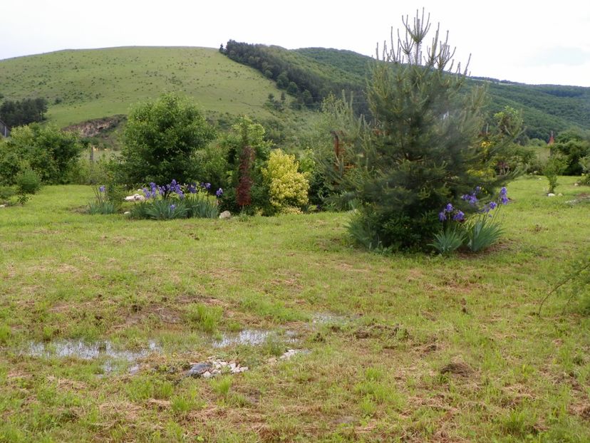 1 iun (35) - Dobarland 2019 2