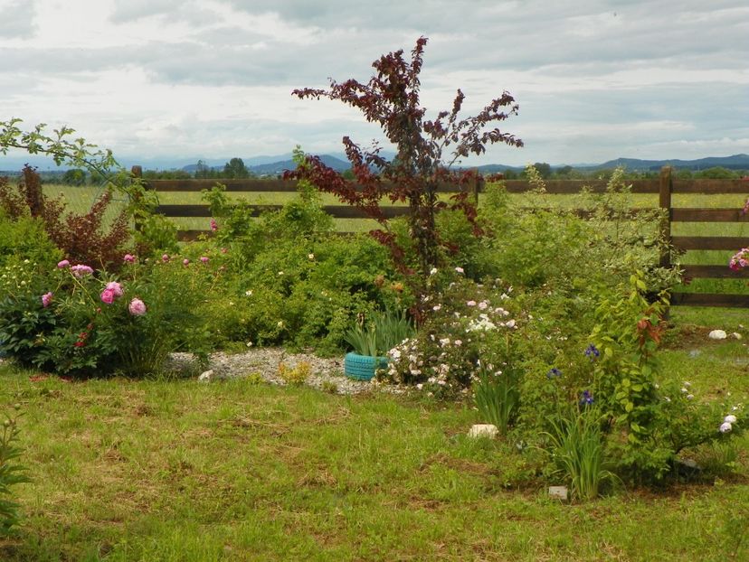 1 iun (64) - Dobarland 2019 2