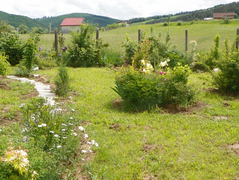 1 iun (169) - Dobarland 2019 2