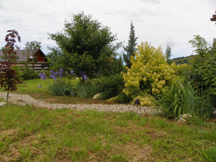 1 iun (226) - Dobarland 2019 2
