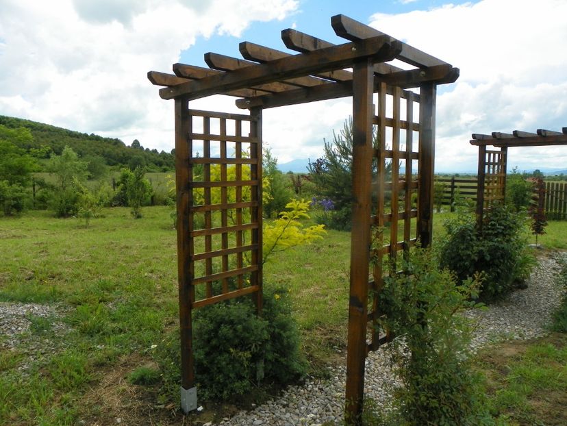 1 iun (264) - Dobarland 2019 2