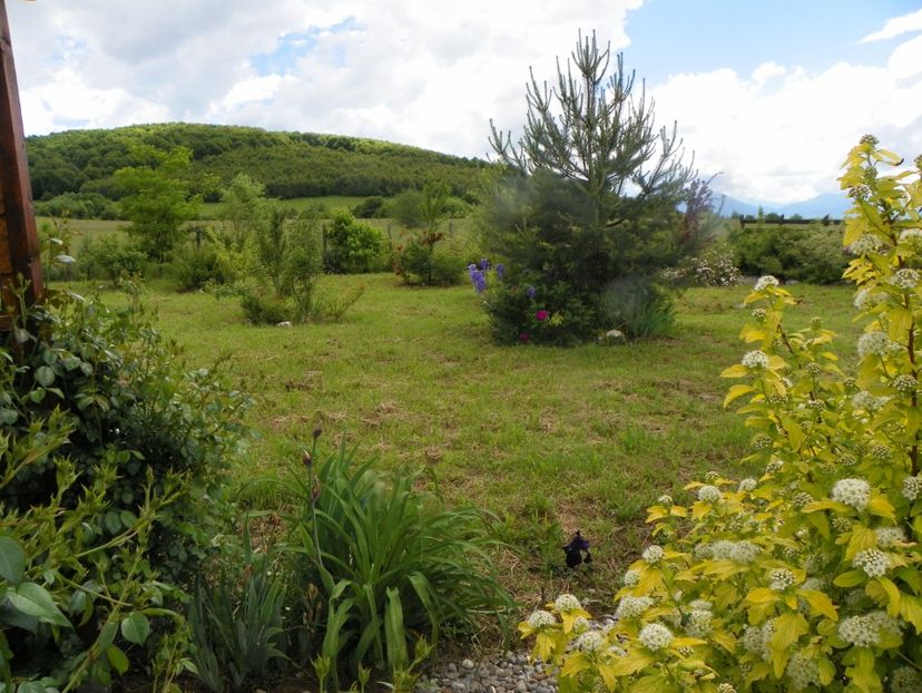 1 iun (265) - Dobarland 2019 2