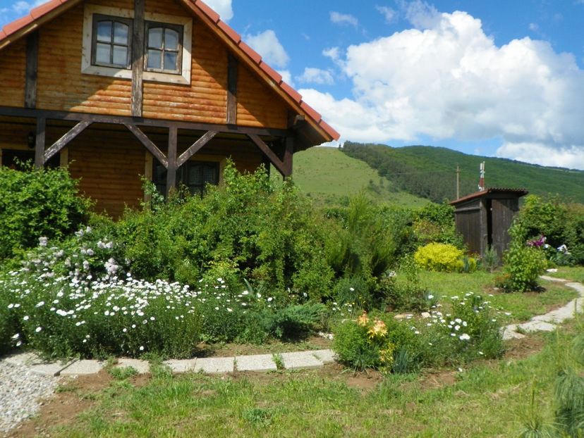 1 iun (296) - Dobarland 2019 2