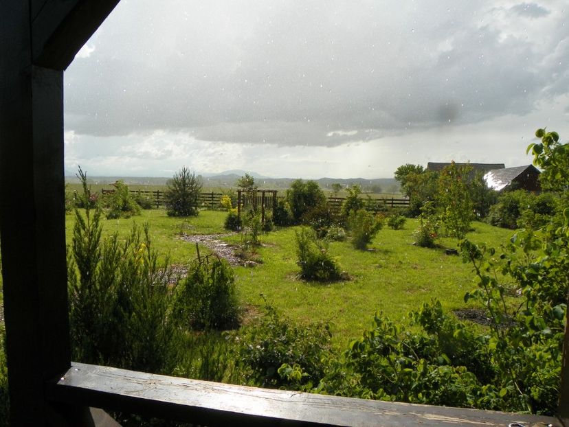 1 iun (327) - Dobarland 2019 2