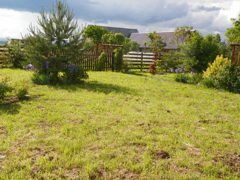 1 iun (329) - Dobarland 2019 2