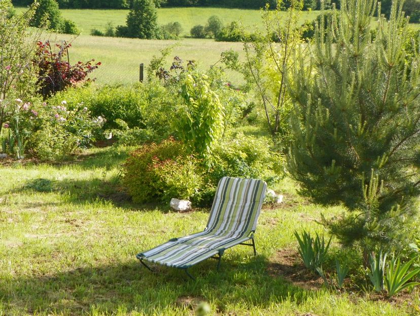 1 iun (338) - Dobarland 2019 2