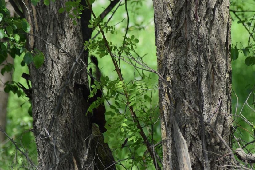  - Vizita la Gradina Botanica Bucuresti