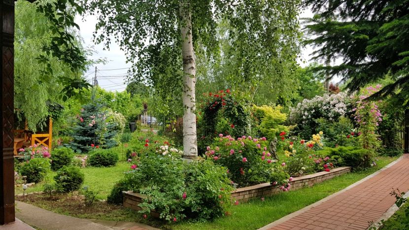  - 2019 Gradina Rozelor