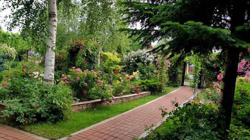  - 2019 Gradina Rozelor