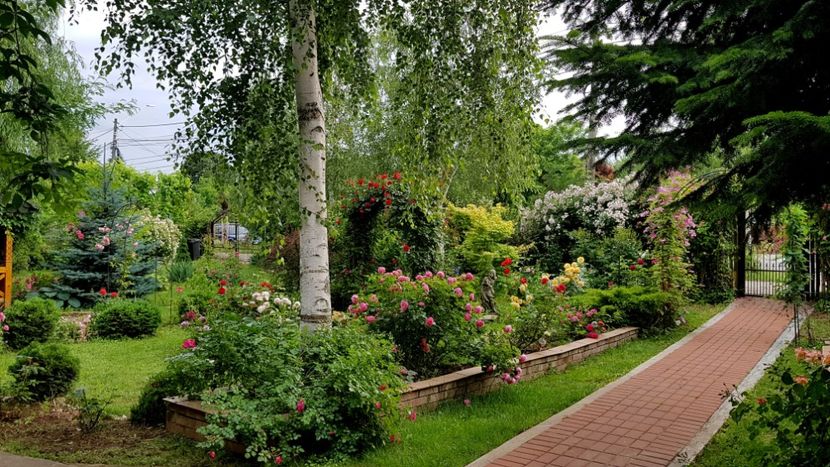  - 2019 Gradina Rozelor