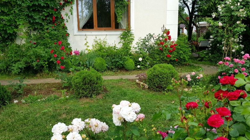  - 2019 Gradina Rozelor