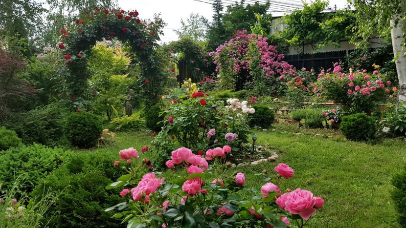  - 2019 Gradina Rozelor